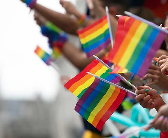 Un grupo de personas ondea pequeñas banderas del orgullo arco iris, símbolo del orgullo y el apoyo LGBTQ+. Algunos llevan ropa deportiva personalizada mientras celebran, con las manos sosteniendo banderas de colores y fondos borrosos que sugieren un ambiente de desfile vibrante.